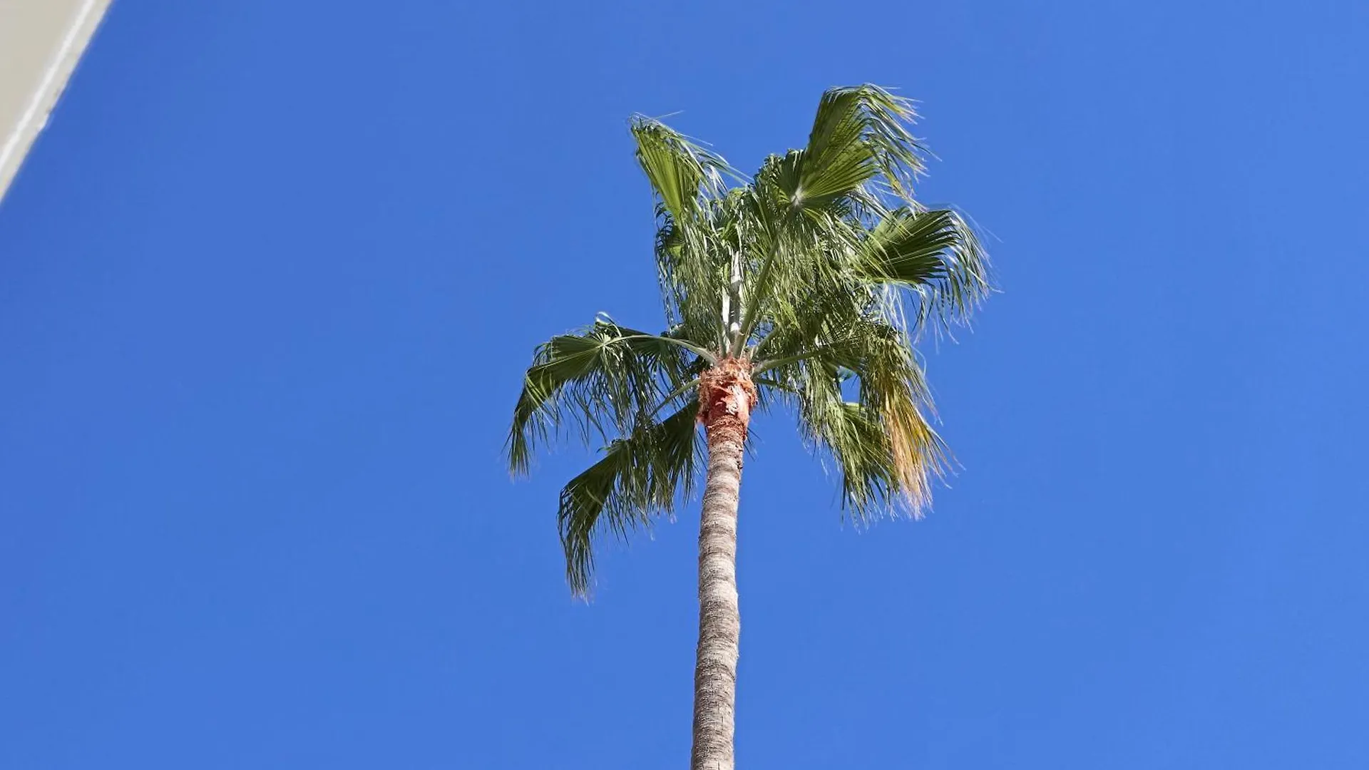 Duque Beachfront Elite Costa Adeje  Apartmán Costa Adeje (Tenerife)